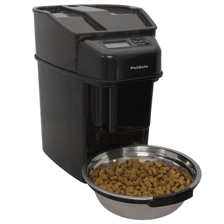 petsafe automatic feeder