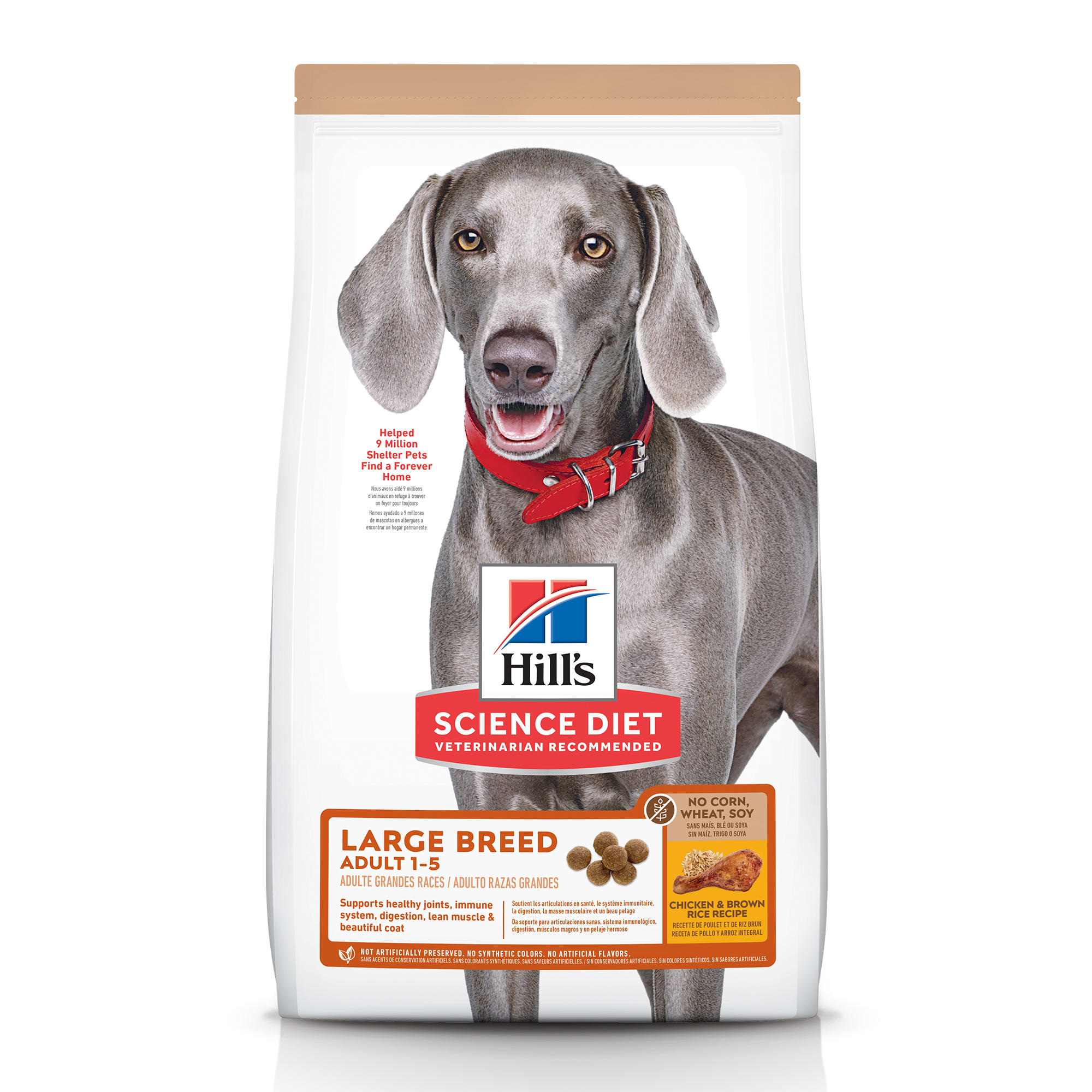 hill's science diet large breed dog food