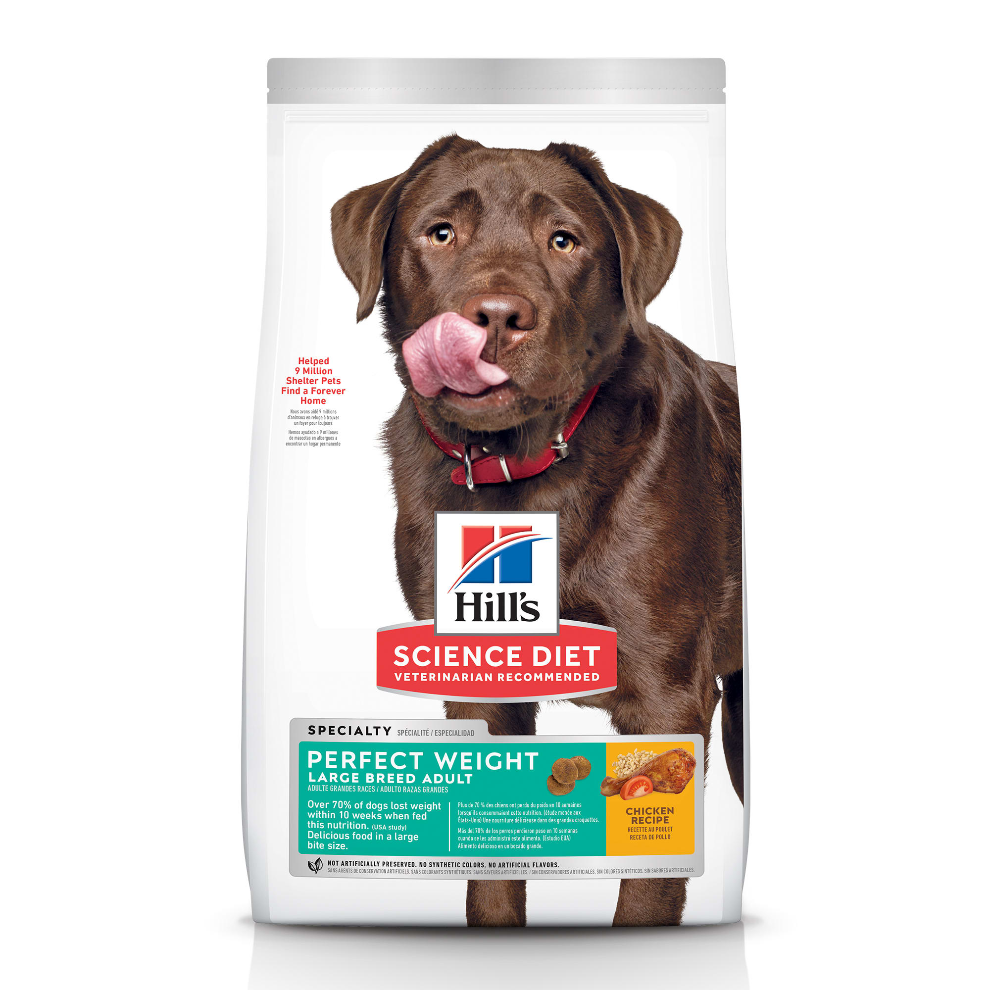 Hills Science Diet Dog Food Recall 2024 Today Molly Therese