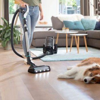 Pet-Friendly House Cleaning