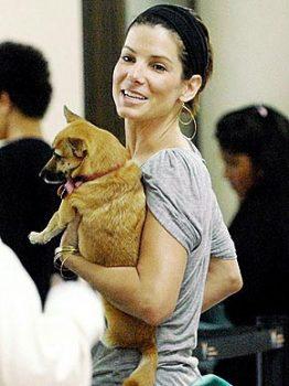 Sandra Bullock with rescue dog