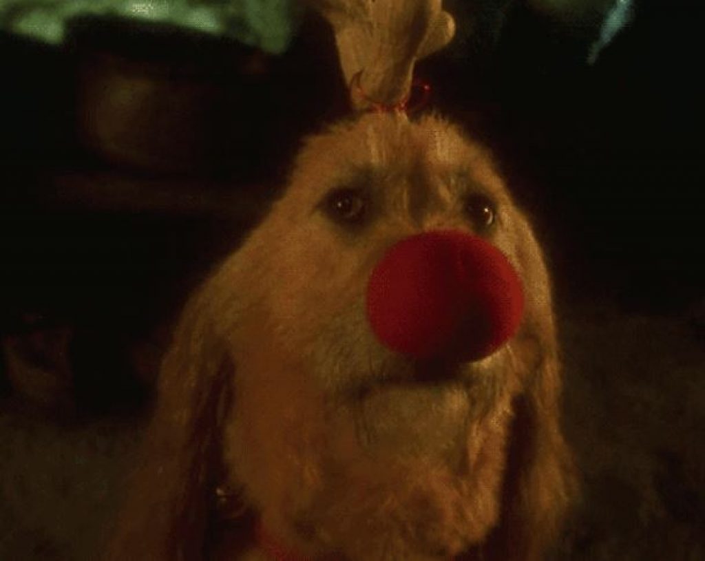 how many dogs played max in the grinch