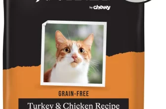 Chewy american journey cat food best sale